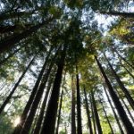 如何选择安全可靠的网上赌博平台进行游戏体验 jc9p7u77y3