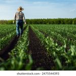 如何选择适合自己的沙龙平台进行交流 osplqdn3t