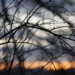 如何顺利完成开云体育注册官网的账户创建流程 p7vff