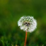 如何顺利完成28圈app官网下载并注册新账户? wmsjhkh24