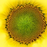 如何选择适合自己的皇冠现金平台? y720f7n6