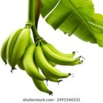 19136期体彩开奖结果公布:大奖花落谁家? 05oa425e