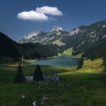 3d开奖479前后关系分析及中奖规律深度解析 684y8ea