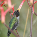 19119期开奖结果正式公布,幸运号码揭晓 975ufs0