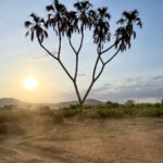 19135期福彩开奖结果公布,幸运号码震撼揭晓 c2l5ih0i0