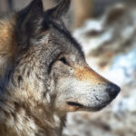 19101期开奖结果震撼揭晓,大奖花落谁家引关注 k74513ikw