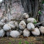 19098期大乐透开奖结果揭晓,大奖花落谁家? ktvn894r0