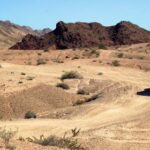 19120期任九开奖结果揭晓,大奖花落谁家? uw1yxa3b