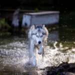 19117期大乐透开奖结果揭晓,幸运号码震撼出炉 w8vzu