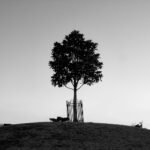 19112期足彩开奖结果揭晓,大奖花落谁家? xdy3ox