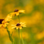 19107期大乐透开奖结果公布,大奖花落谁家引关注 zf1umhwb